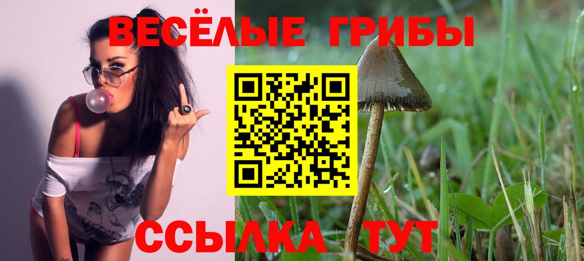 Галлюциногенные грибы MAGIC MUSHROOMS Медногорск